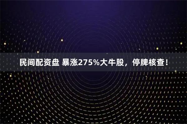 民间配资盘 暴涨275%大牛股，停牌核查！