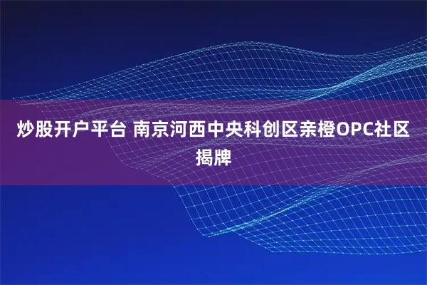 炒股开户平台 南京河西中央科创区亲橙OPC社区揭牌